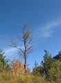 Moucherotte 010